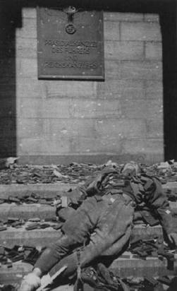 Битва за Берлин, 1945. Рейхсканцелярия.