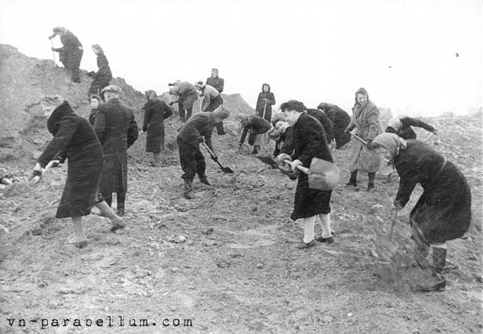 Жители Берлина на строительства загородных укреплений. Февраль-март 1945.
